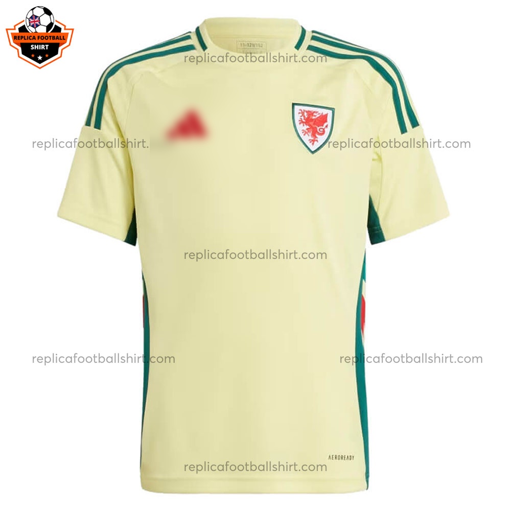 Wales Away Men Replica Football Shirt 2024 - front view
