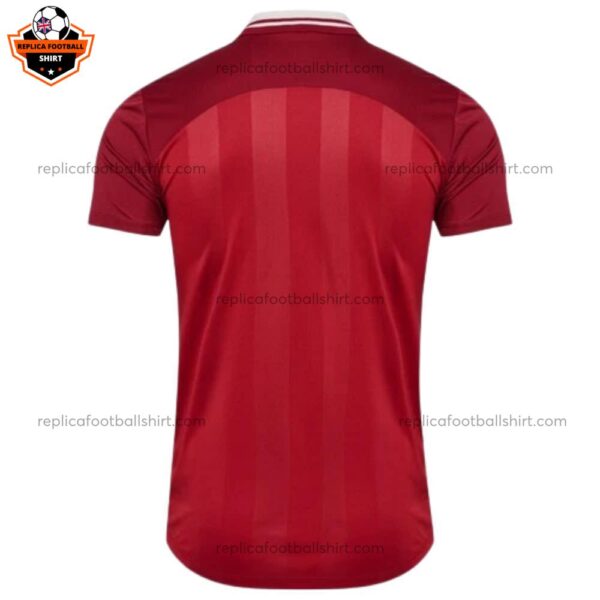 Denmark Home Men Replica Football Shirt 2025 backview